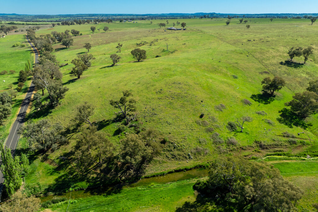 For Sale - 1097 Davys Plains Road - New Property in Cudal - Real Estate by Scott Petersen