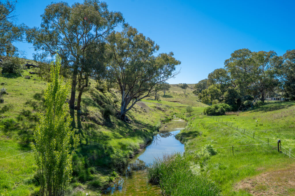 For Sale - 1097 Davys Plains Road - New Property in Cudal - Real Estate by Scott Petersen