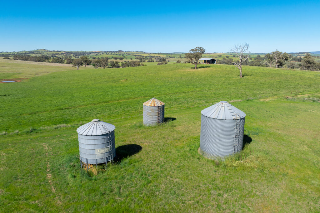 For Sale - 1097 Davys Plains Road - New Property in Cudal - Real Estate by Scott Petersen