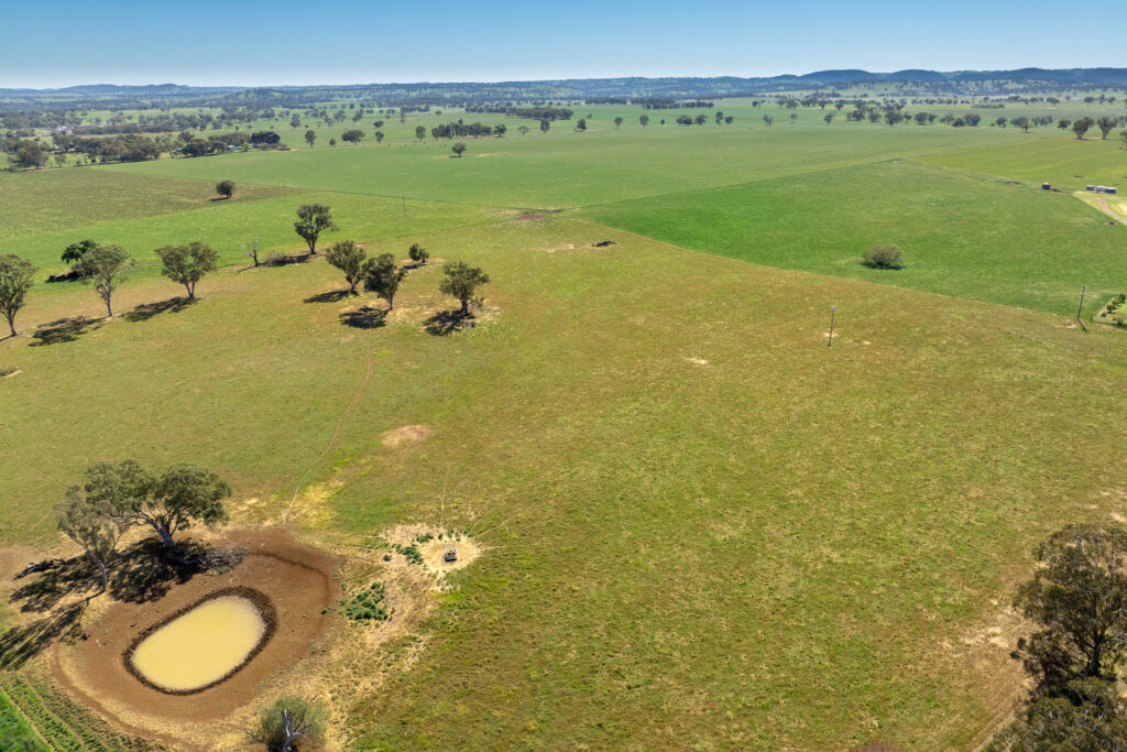 For Sale - 1097 Davys Plains Road - New Property in Cudal - Real Estate by Scott Petersen
