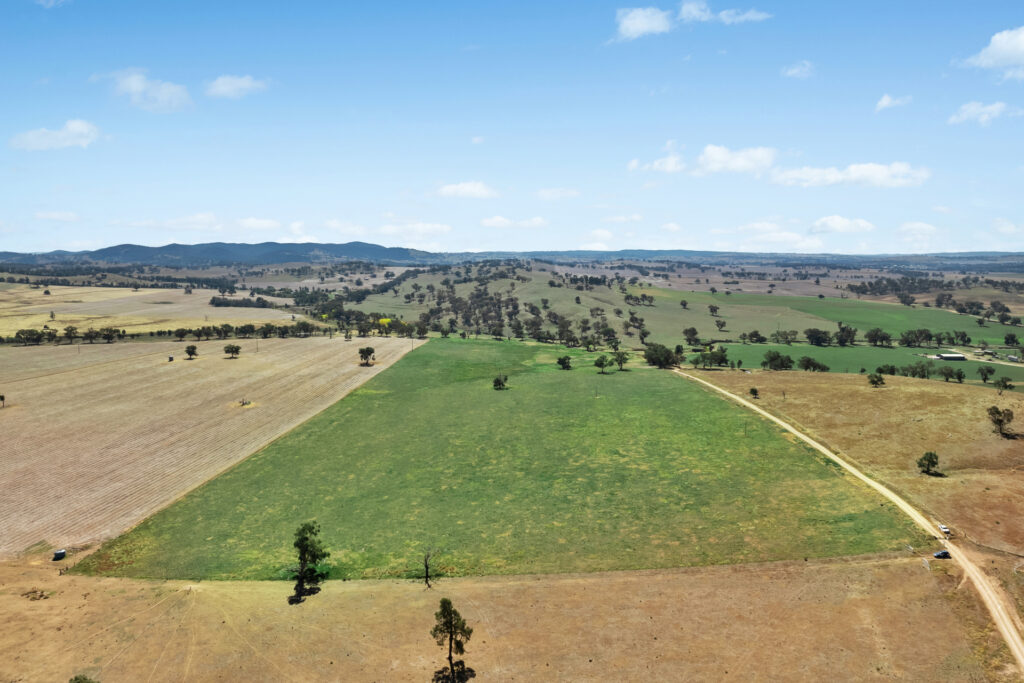 Sold - - Coates Creek Road - New Property in Manildra - Real Estate by Scott Petersen