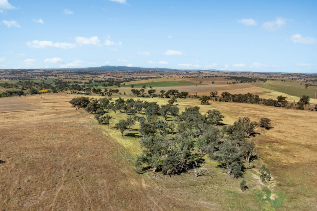 Sold - - Coates Creek Road - New Property in Manildra - Real Estate by Scott Petersen