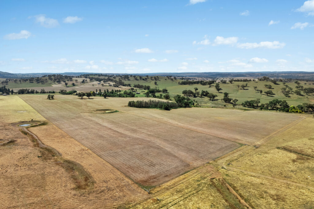 Sold - - Coates Creek Road - New Property in Manildra - Real Estate by Scott Petersen