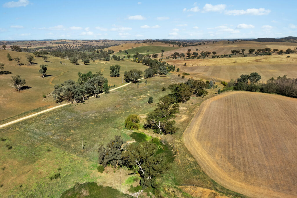 Sold - - Coates Creek Road - New Property in Manildra - Real Estate by Scott Petersen