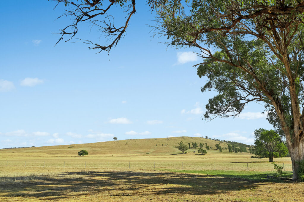 Sold - - Coates Creek Road - New Property in Manildra - Real Estate by Scott Petersen