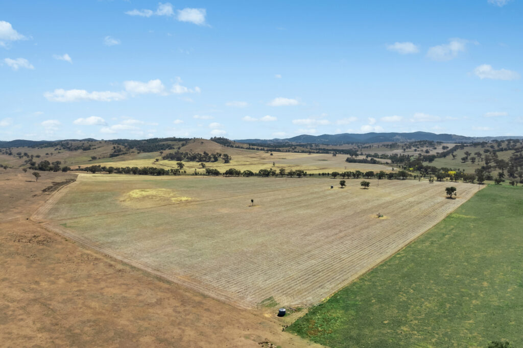 Sold - - Coates Creek Road - New Property in Manildra - Real Estate by Scott Petersen