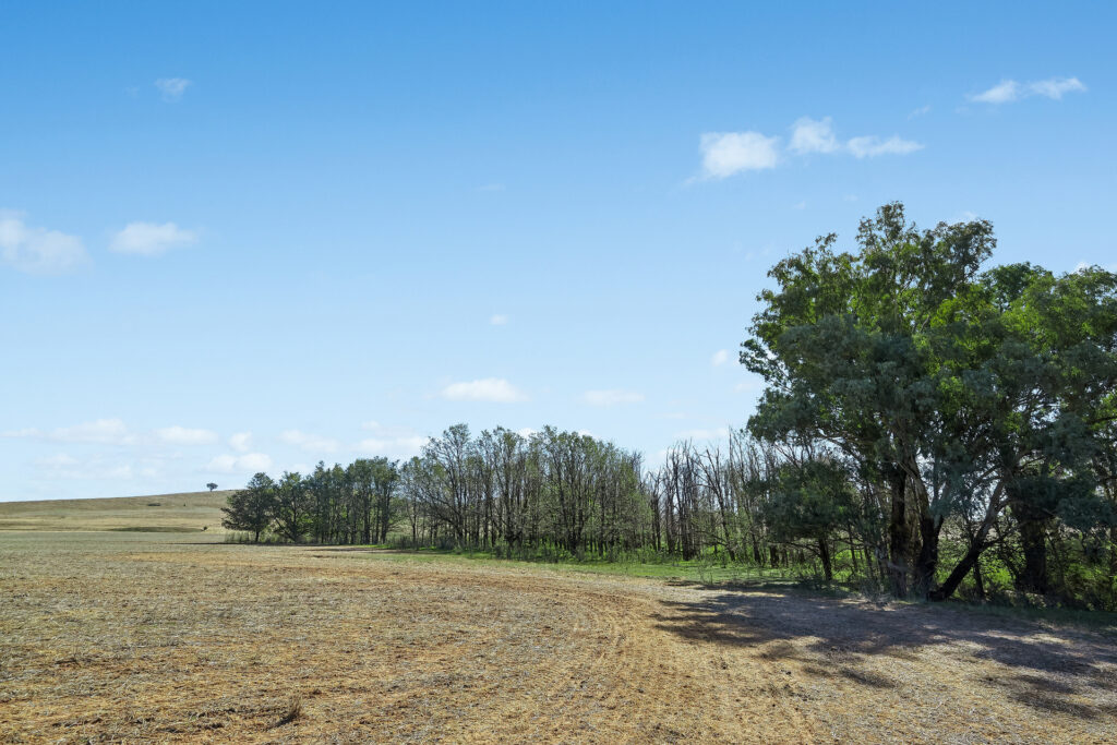 Sold - - Coates Creek Road - New Property in Manildra - Real Estate by Scott Petersen