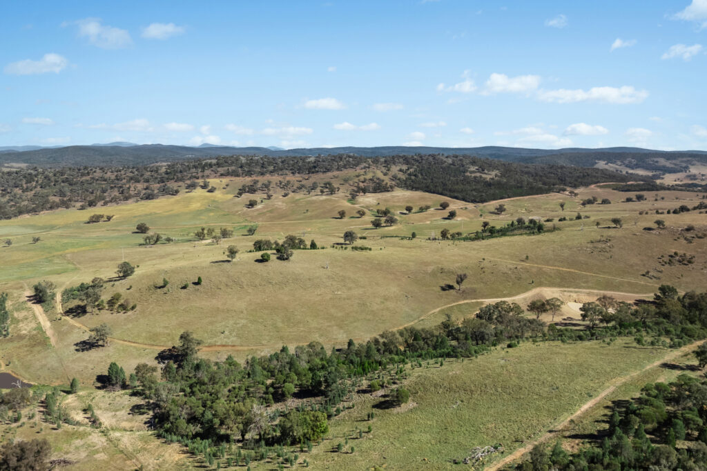Sold - - Coates Creek Road - New Property in Manildra - Real Estate by Scott Petersen