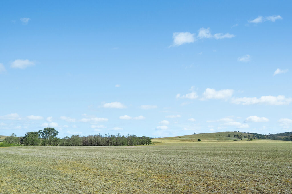 Sold - - Coates Creek Road - New Property in Manildra - Real Estate by Scott Petersen