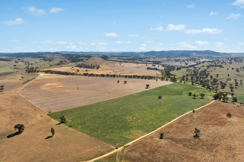 Sold - - Coates Creek Road - New Property in Manildra - Real Estate by Scott Petersen