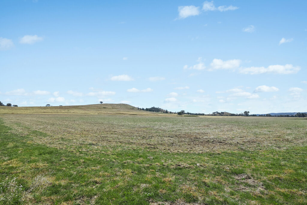 Sold - - Coates Creek Road - New Property in Manildra - Real Estate by Scott Petersen