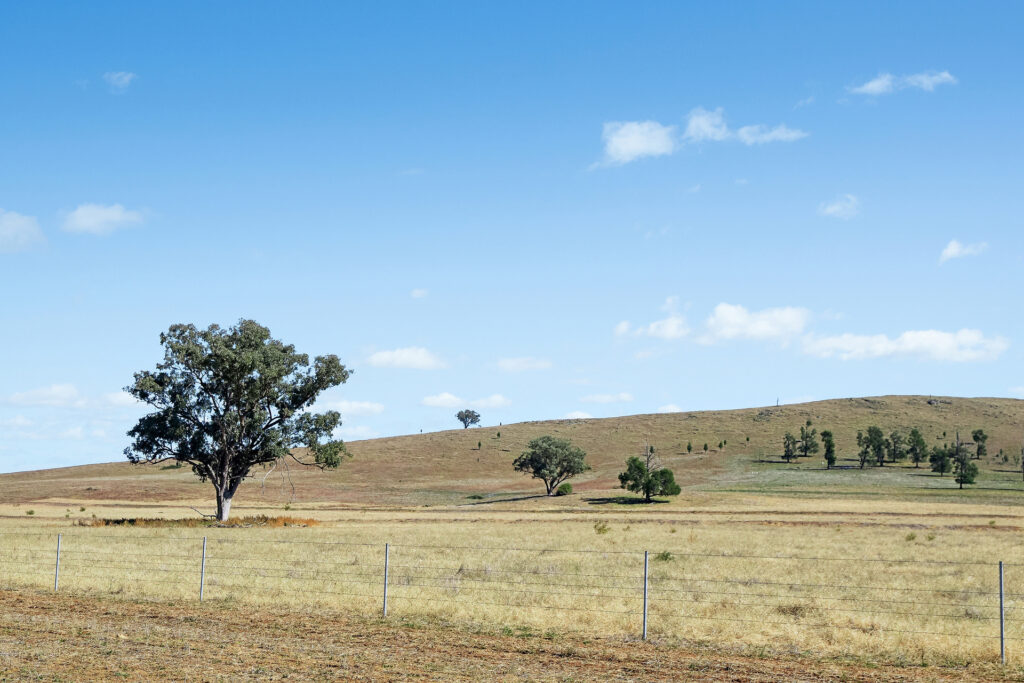 Sold - - Coates Creek Road - New Property in Manildra - Real Estate by Scott Petersen
