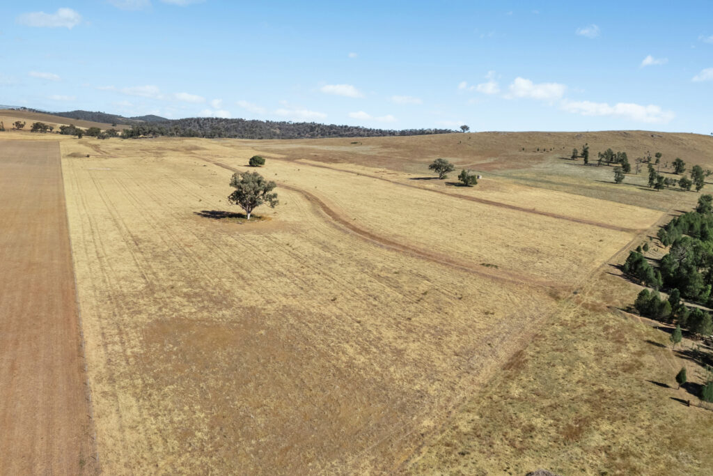 Sold - - Coates Creek Road - New Property in Manildra - Real Estate by Scott Petersen