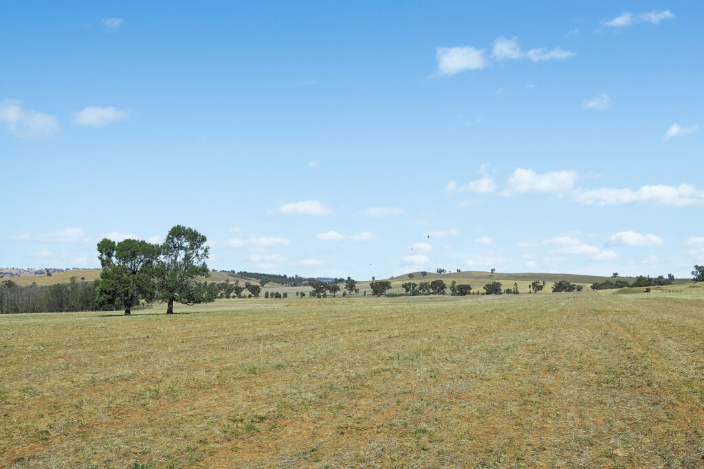 Sold - - Coates Creek Road - New Property in Manildra - Real Estate by Scott Petersen