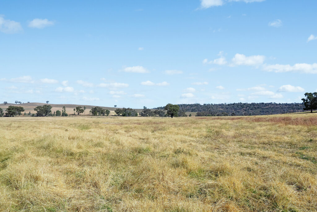Sold - - Coates Creek Road - New Property in Manildra - Real Estate by Scott Petersen