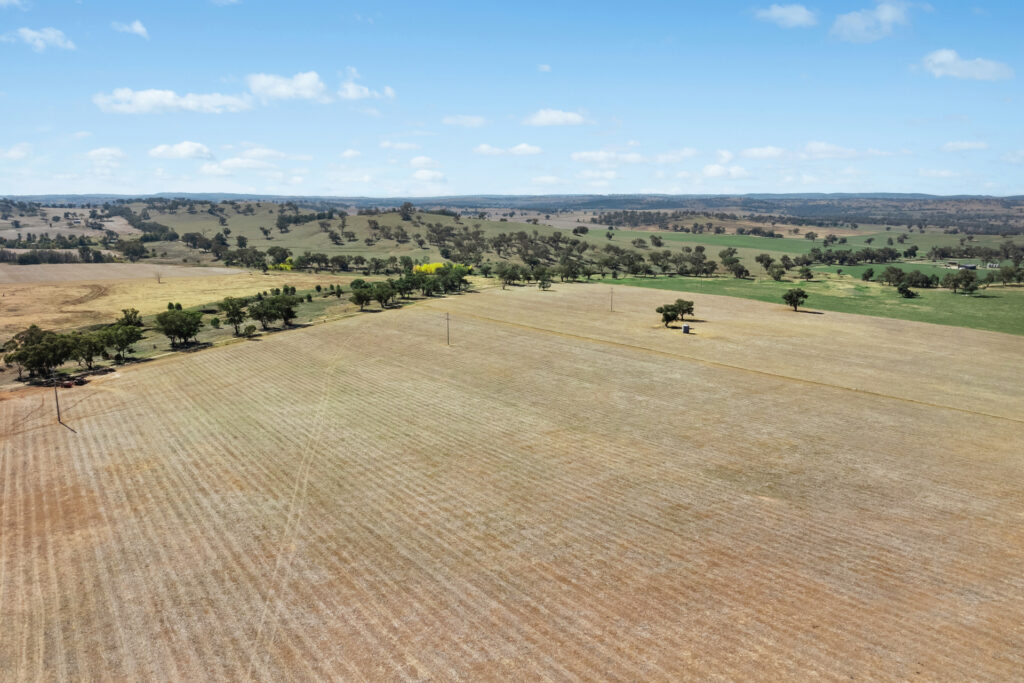 Sold - - Coates Creek Road - New Property in Manildra - Real Estate by Scott Petersen