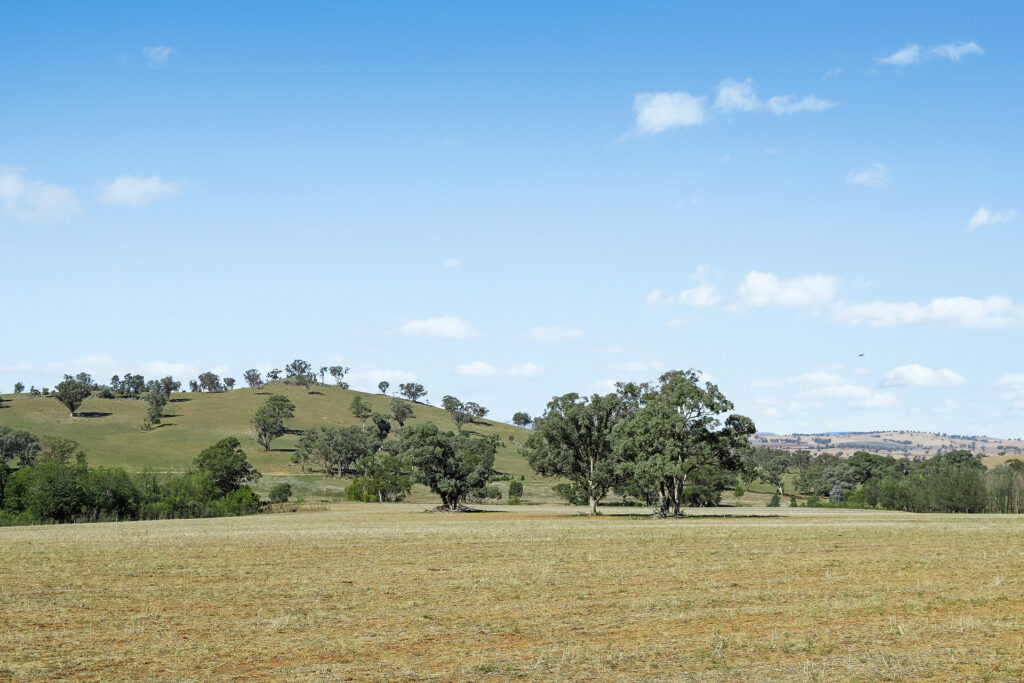 Sold - - Coates Creek Road - New Property in Manildra - Real Estate by Scott Petersen