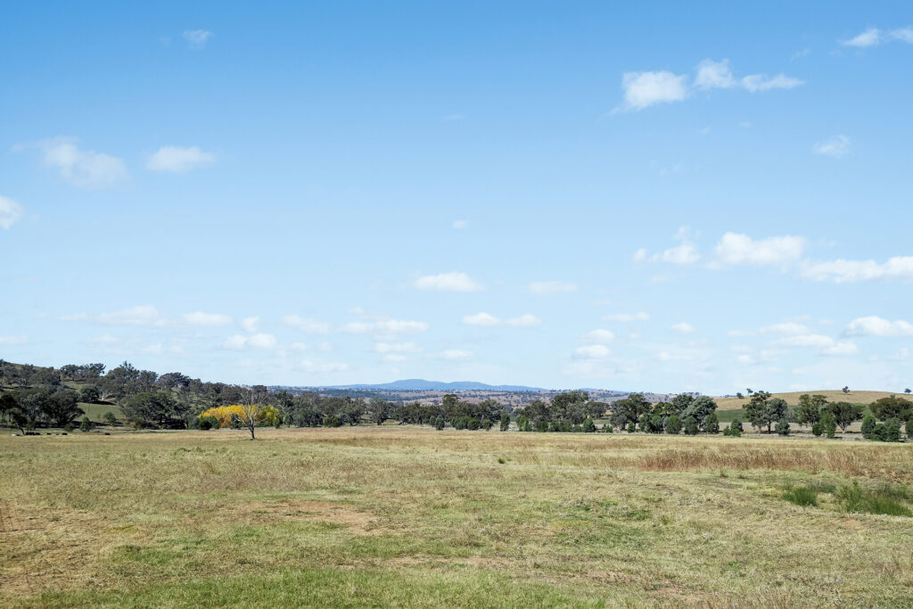 Sold - - Coates Creek Road - New Property in Manildra - Real Estate by Scott Petersen
