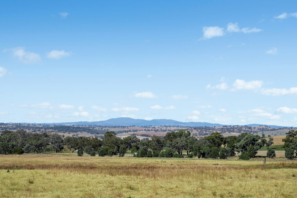 Sold - - Coates Creek Road - New Property in Manildra - Real Estate by Scott Petersen