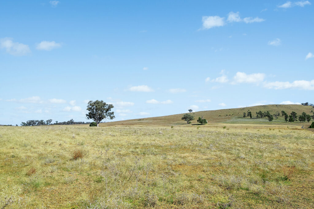 Sold - - Coates Creek Road - New Property in Manildra - Real Estate by Scott Petersen