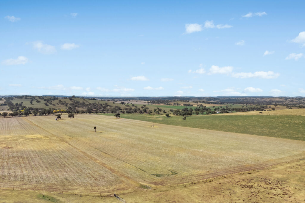 Sold - - Coates Creek Road - New Property in Manildra - Real Estate by Scott Petersen
