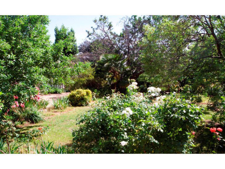 Sold - 255 Piper Street - New Property in Bathurst - Real Estate by 