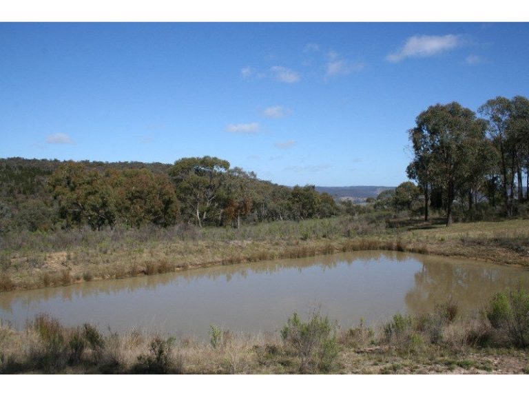 Sold - 223 Billywillinga Road - New Property in Billywillinga - Real Estate by 