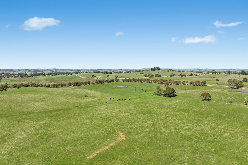 For Sale - 565 Nyes Gate Road - New Property in Millthorpe - Real Estate by Scott Petersen