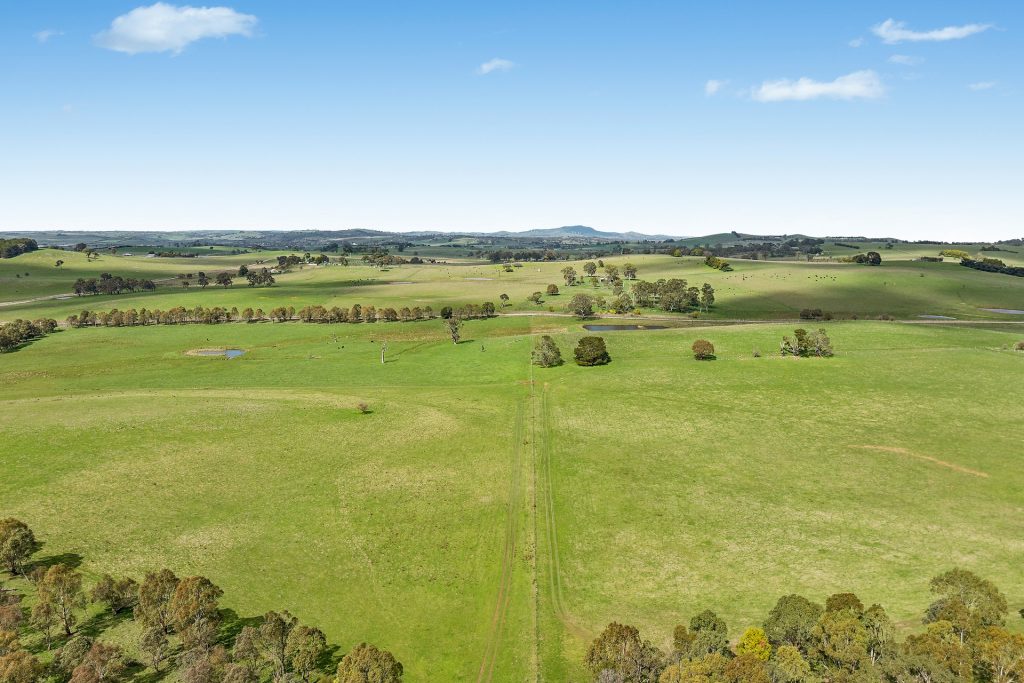 For Sale - 565 Nyes Gate Road - New Property in Millthorpe - Real Estate by Scott Petersen