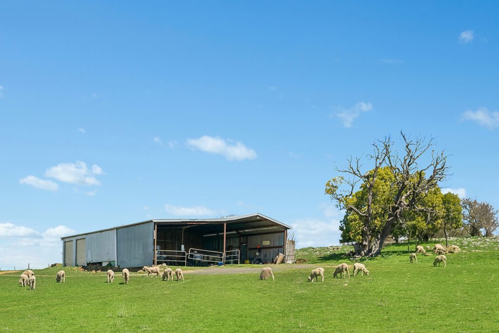 For Sale - 565 Nyes Gate Road - New Property in Millthorpe - Real Estate by Scott Petersen