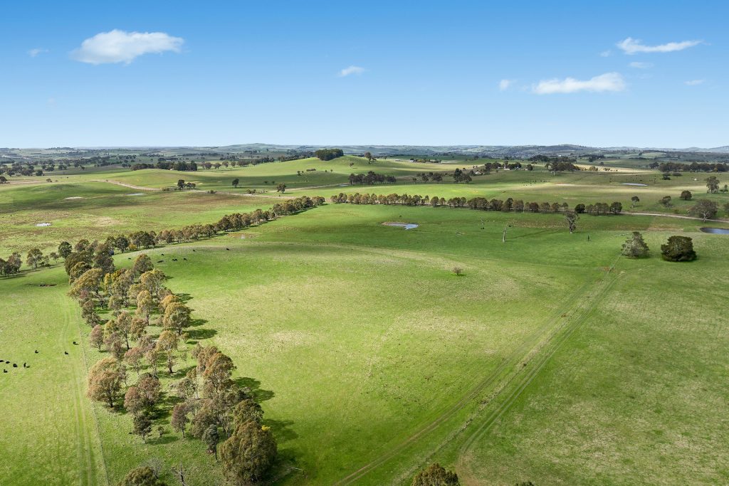 For Sale - 565 Nyes Gate Road - New Property in Millthorpe - Real Estate by Scott Petersen