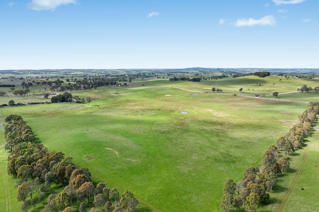 For Sale - 565 Nyes Gate Road - New Property in Millthorpe - Real Estate by Scott Petersen