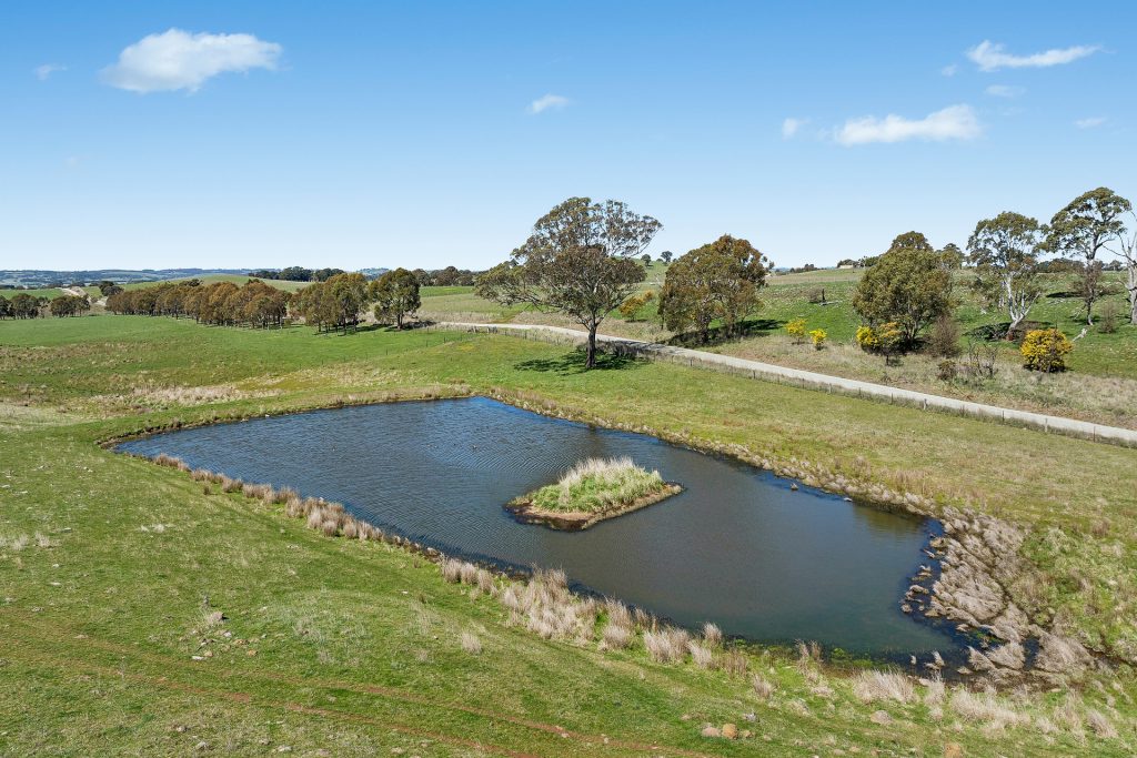 For Sale - 565 Nyes Gate Road - New Property in Millthorpe - Real Estate by Scott Petersen