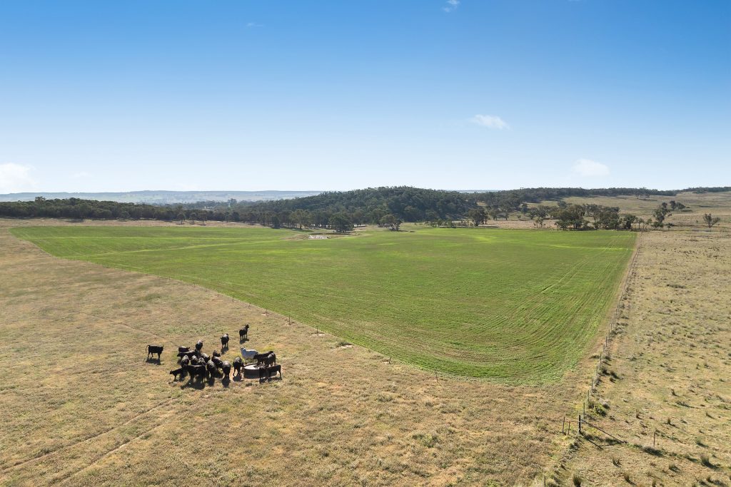 For Sale - 837 Packham Drive - New Property in Molong - Real Estate by Scott Petersen