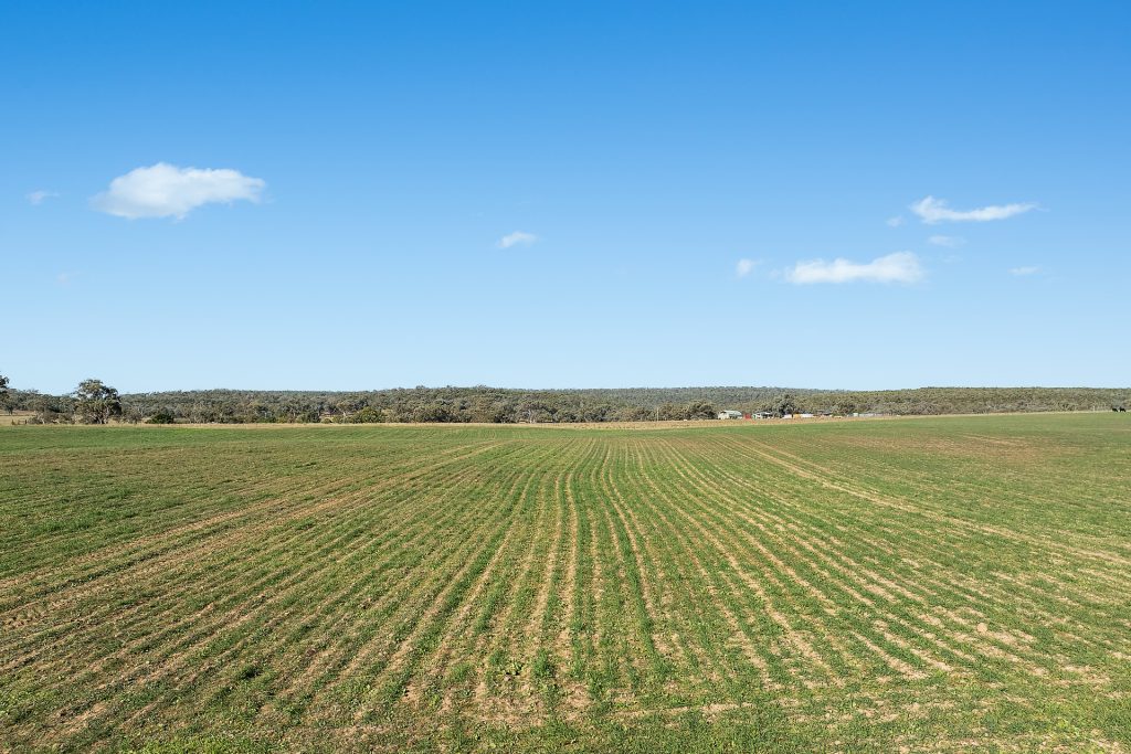 For Sale - 837 Packham Drive - New Property in Molong - Real Estate by Scott Petersen