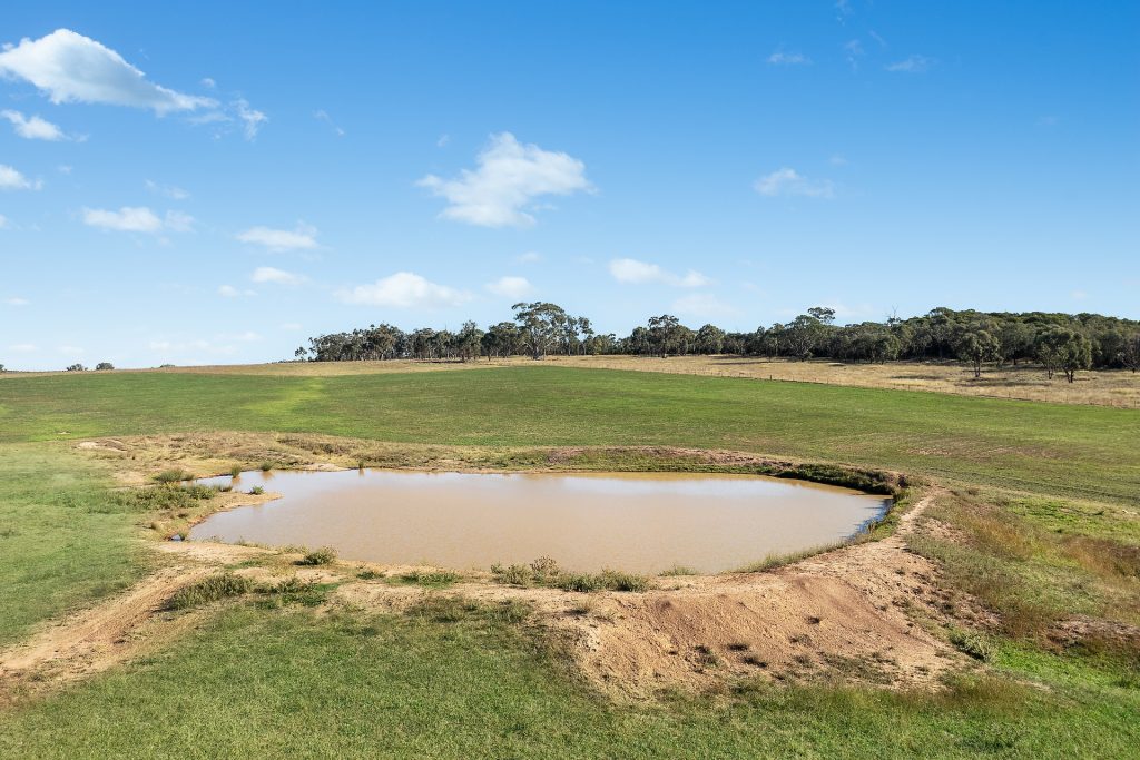For Sale - 837 Packham Drive - New Property in Molong - Real Estate by Scott Petersen