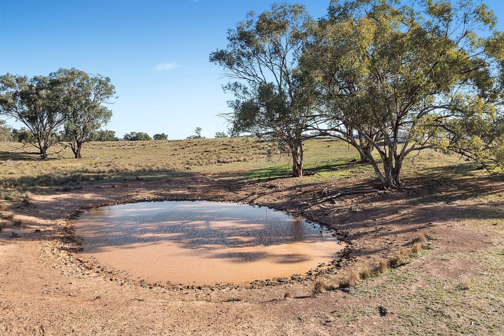 For Sale - 837 Packham Drive - New Property in Molong - Real Estate by Scott Petersen