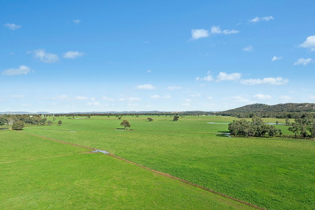 For Sale - 3130 Adelargo Road - New Property in Grenfell - Real Estate by Scott Petersen