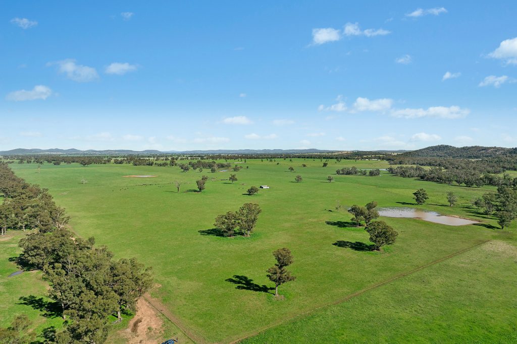 For Sale - 3130 Adelargo Road - New Property in Grenfell - Real Estate by Scott Petersen