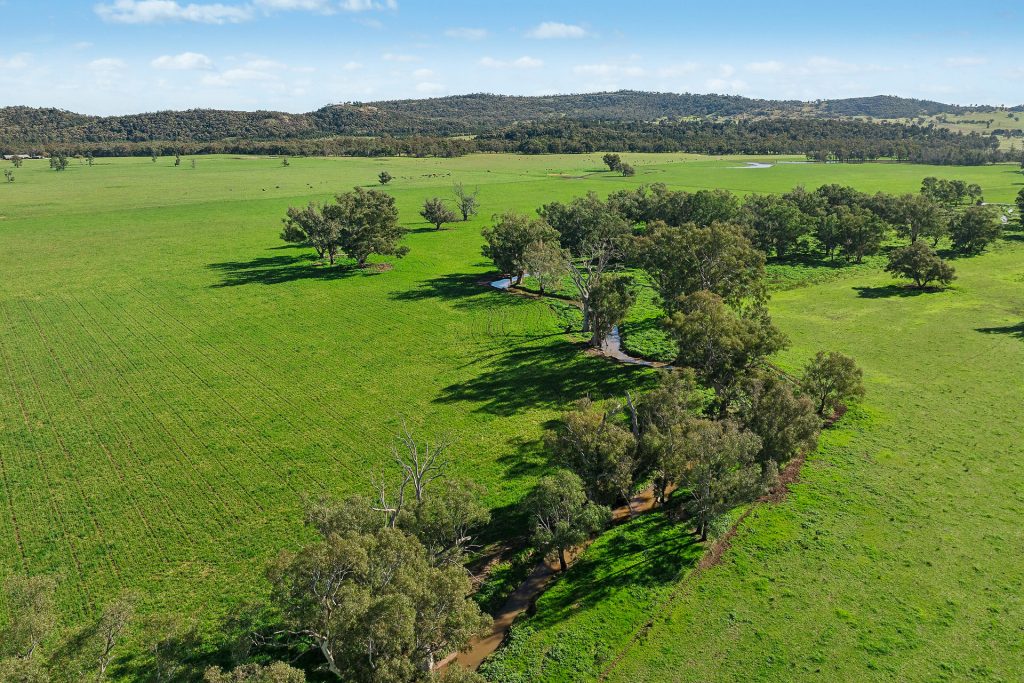For Sale - 3130 Adelargo Road - New Property in Grenfell - Real Estate by Scott Petersen
