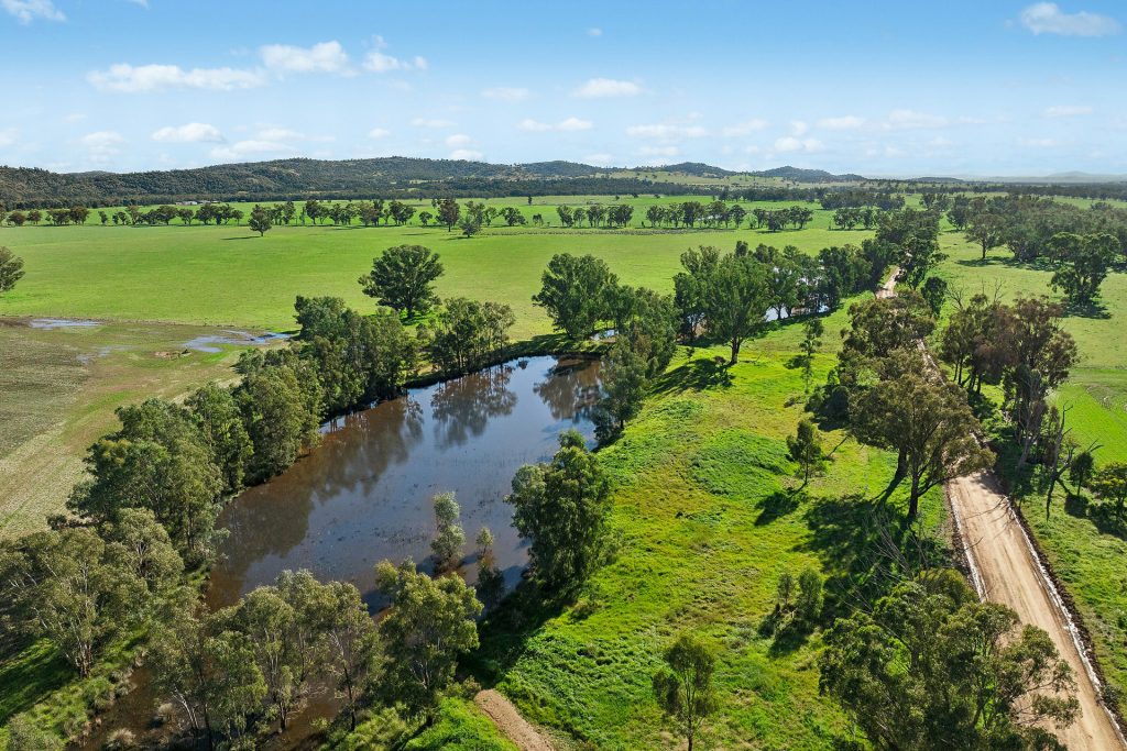 For Sale - 3130 Adelargo Road - New Property in Grenfell - Real Estate by Scott Petersen