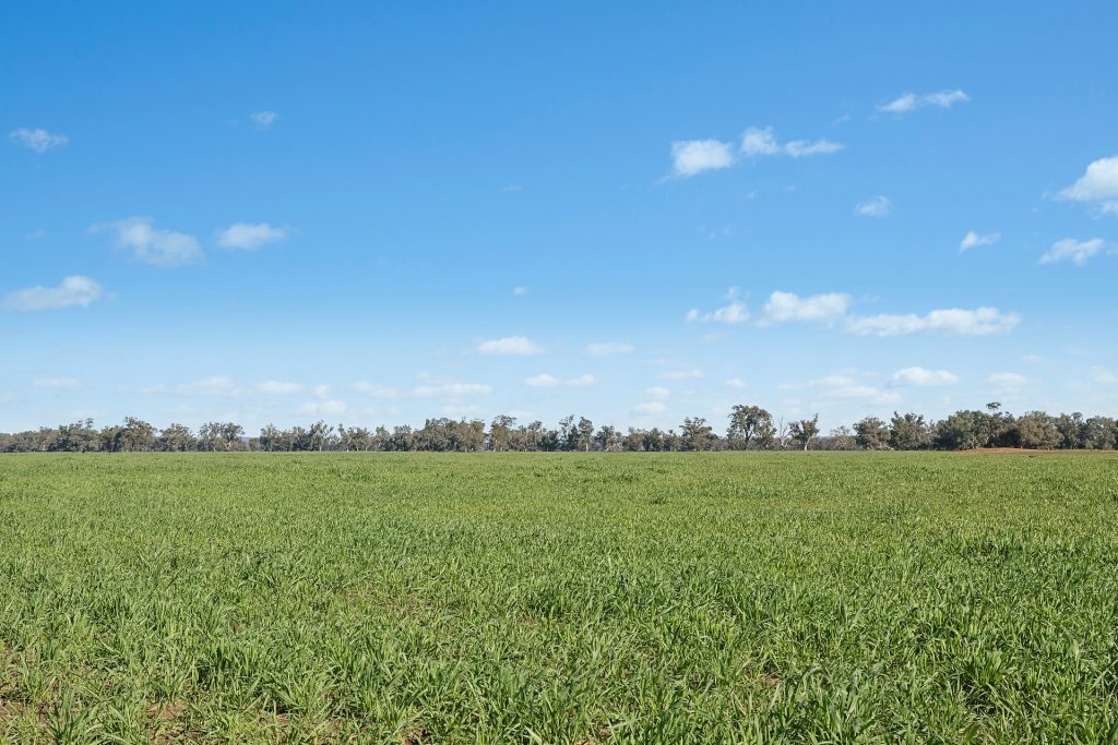 For Sale - 3130 Adelargo Road - New Property in Grenfell - Real Estate by Scott Petersen