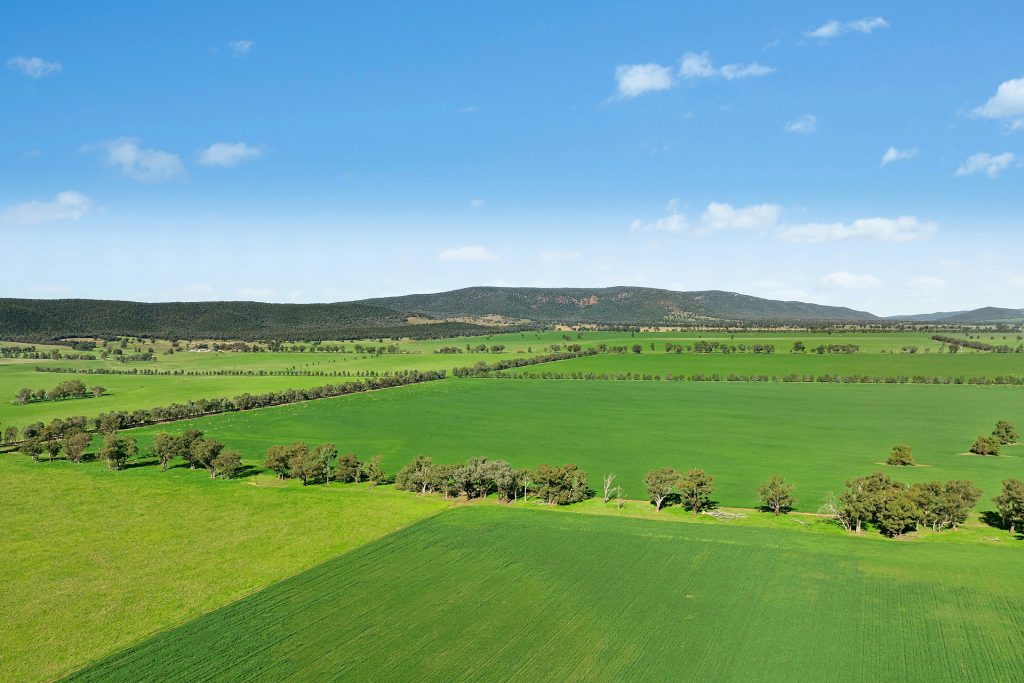 For Sale - 3130 Adelargo Road - New Property in Grenfell - Real Estate by Scott Petersen
