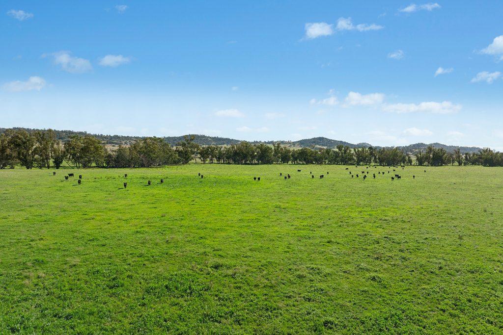 For Sale - 3130 Adelargo Road - New Property in Grenfell - Real Estate by Scott Petersen