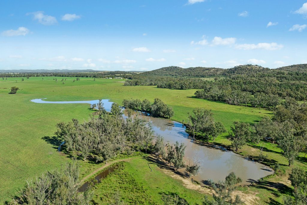 For Sale - 3130 Adelargo Road - New Property in Grenfell - Real Estate by Scott Petersen