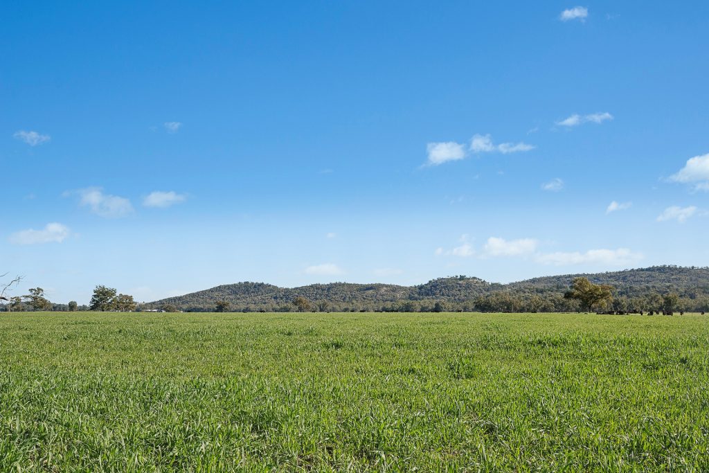 For Sale - 3130 Adelargo Road - New Property in Grenfell - Real Estate by Scott Petersen