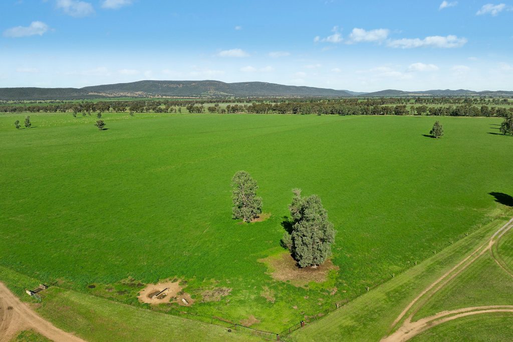 For Sale - 3130 Adelargo Road - New Property in Grenfell - Real Estate by Scott Petersen