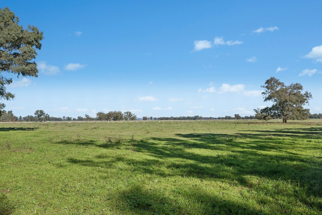 For Sale - 3130 Adelargo Road - New Property in Grenfell - Real Estate by Scott Petersen
