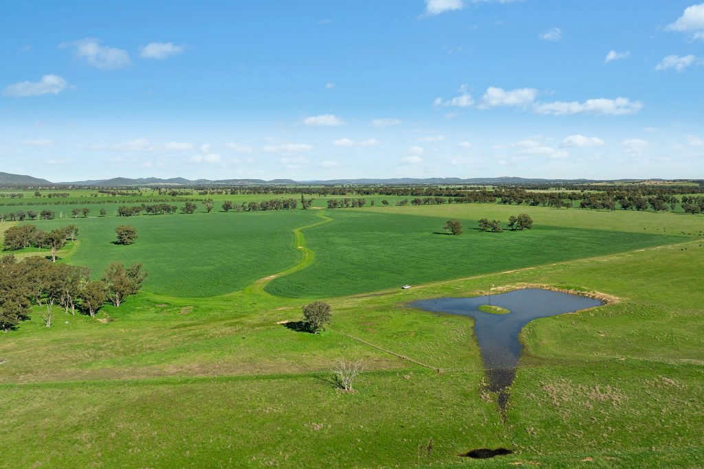 For Sale - 3130 Adelargo Road - New Property in Grenfell - Real Estate by Scott Petersen