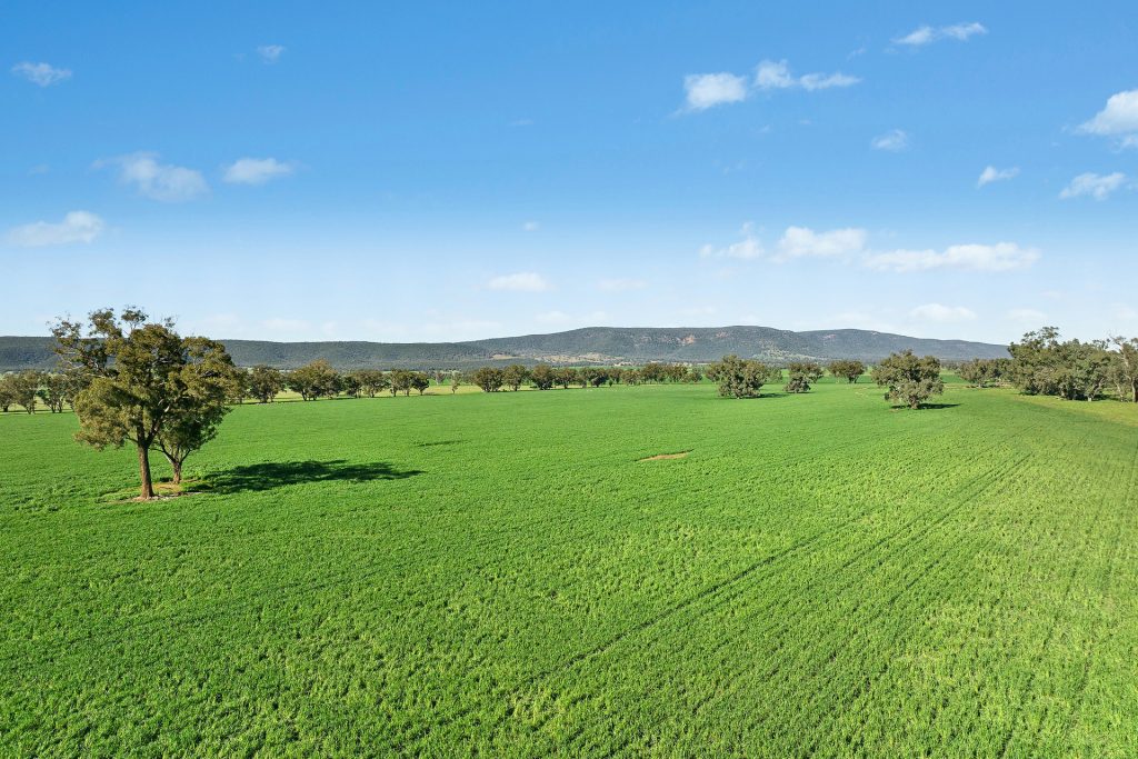 For Sale - 3130 Adelargo Road - New Property in Grenfell - Real Estate by Scott Petersen